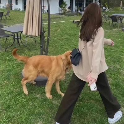 温暖的再见